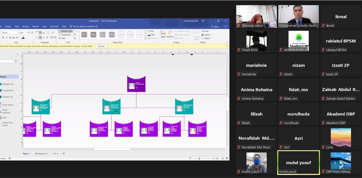 carta organisasi visio
