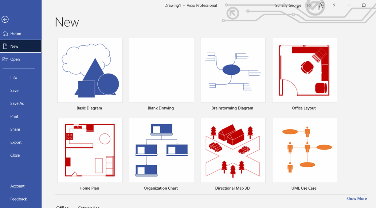 carta organisasi visio