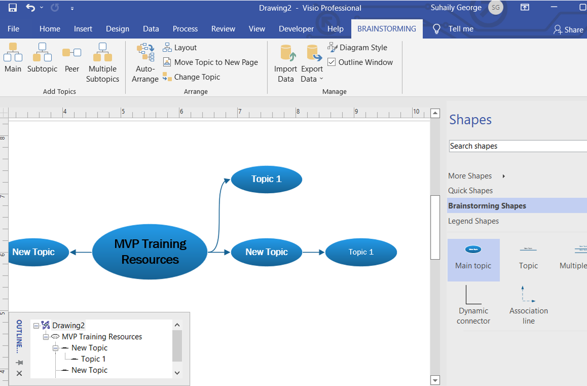 carta organisasi visio